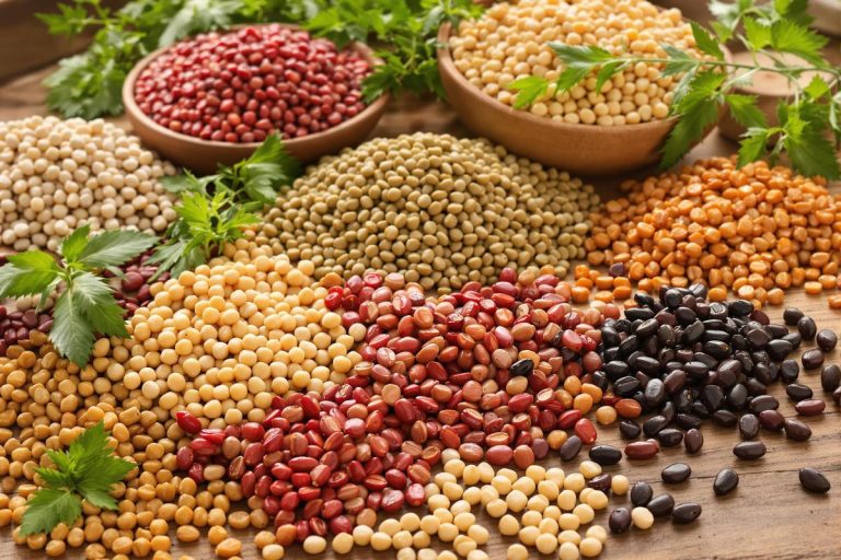 Légumineuses : lesquelles choisir selon votre type de digestion ?.jpg